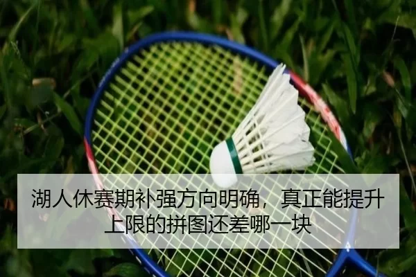 湖人休赛期补强方向明确，真正能提升上限的拼图还差哪一块